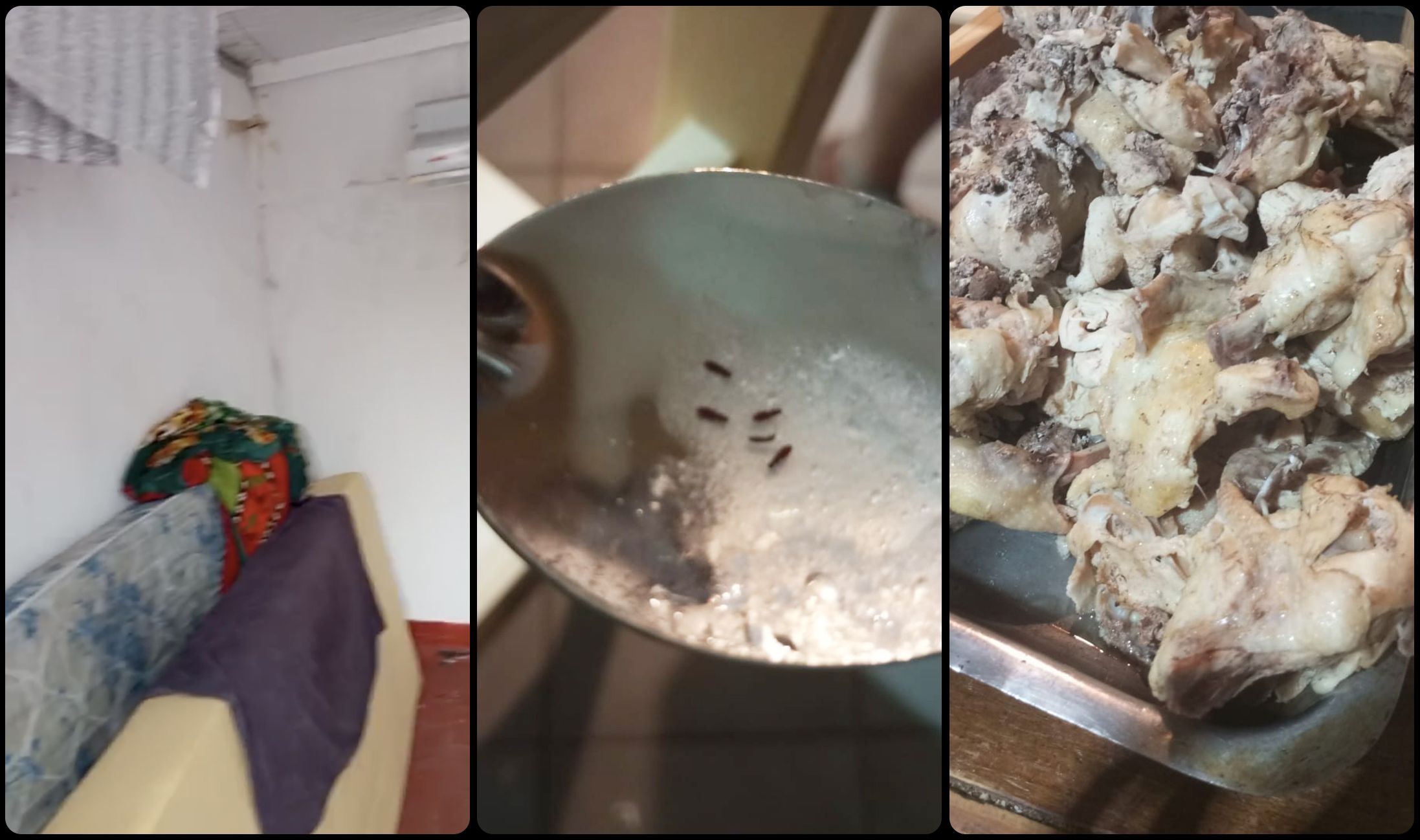 阿根廷足球青训暗面:梦想工厂背后的残酷体系
